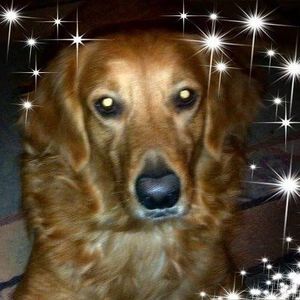 Meet your Posher, Lynne